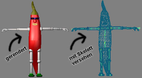 Schoti mit Skelett versehen
